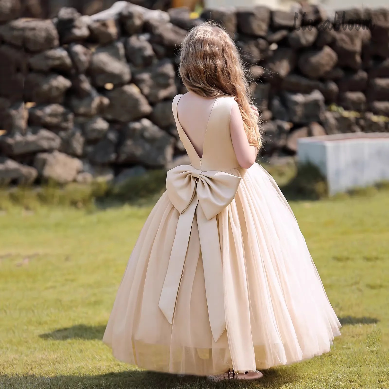 Multicolor Backless Princess D - Women'S Formal Wear Wedding 评论和价格
